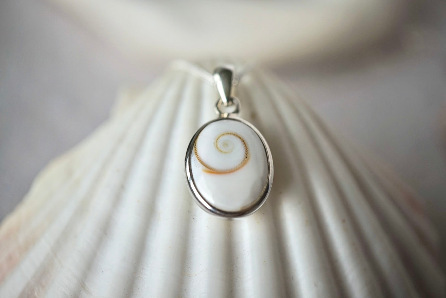 Operculum Shell Necklace – Oval