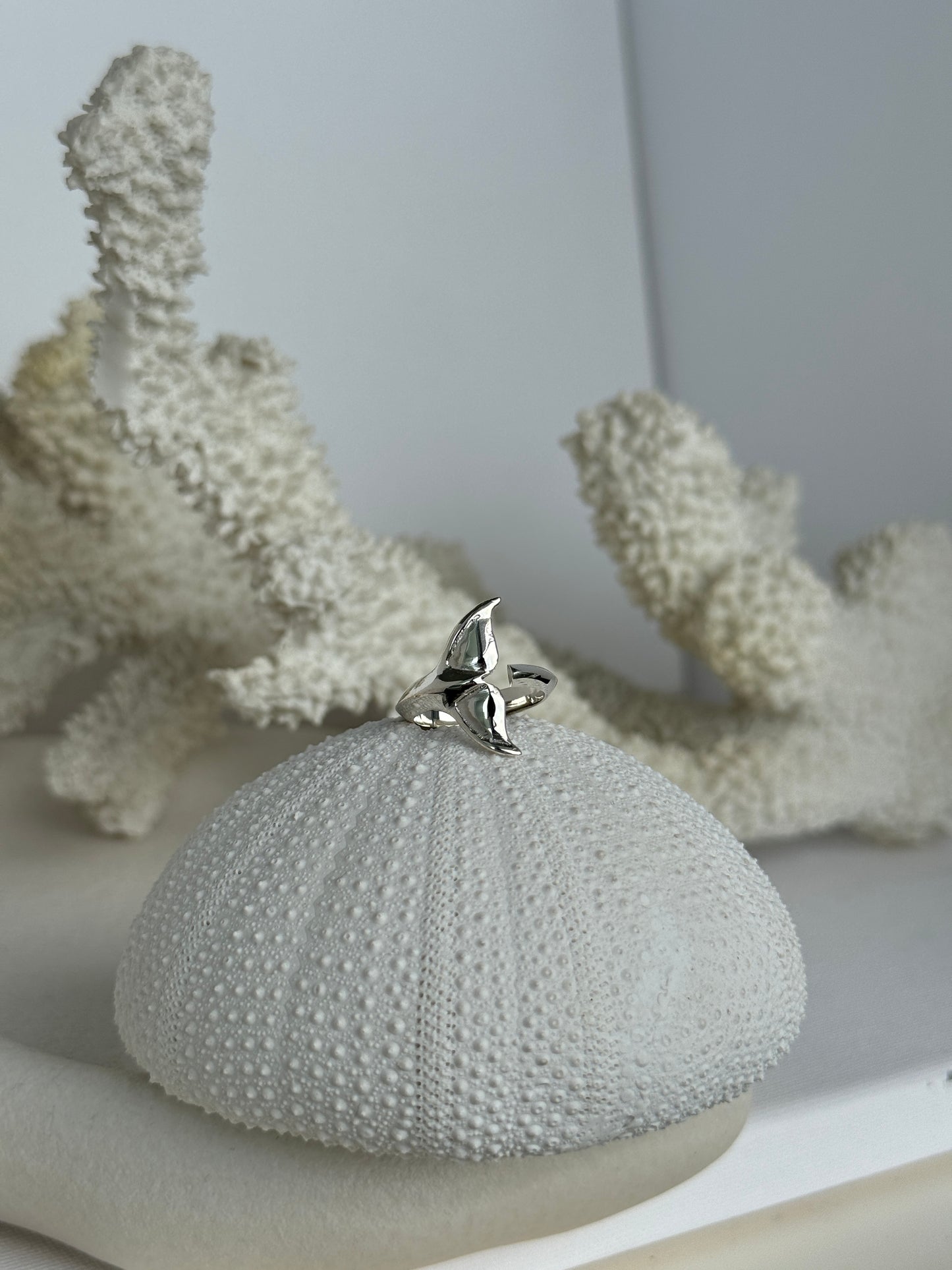 Plain Tail Ring