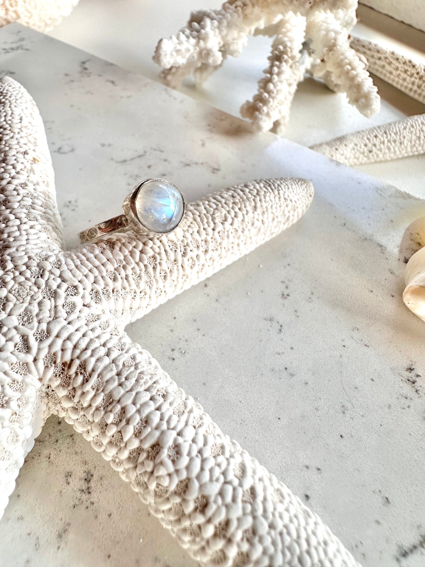 Salty Ring - Moonstone