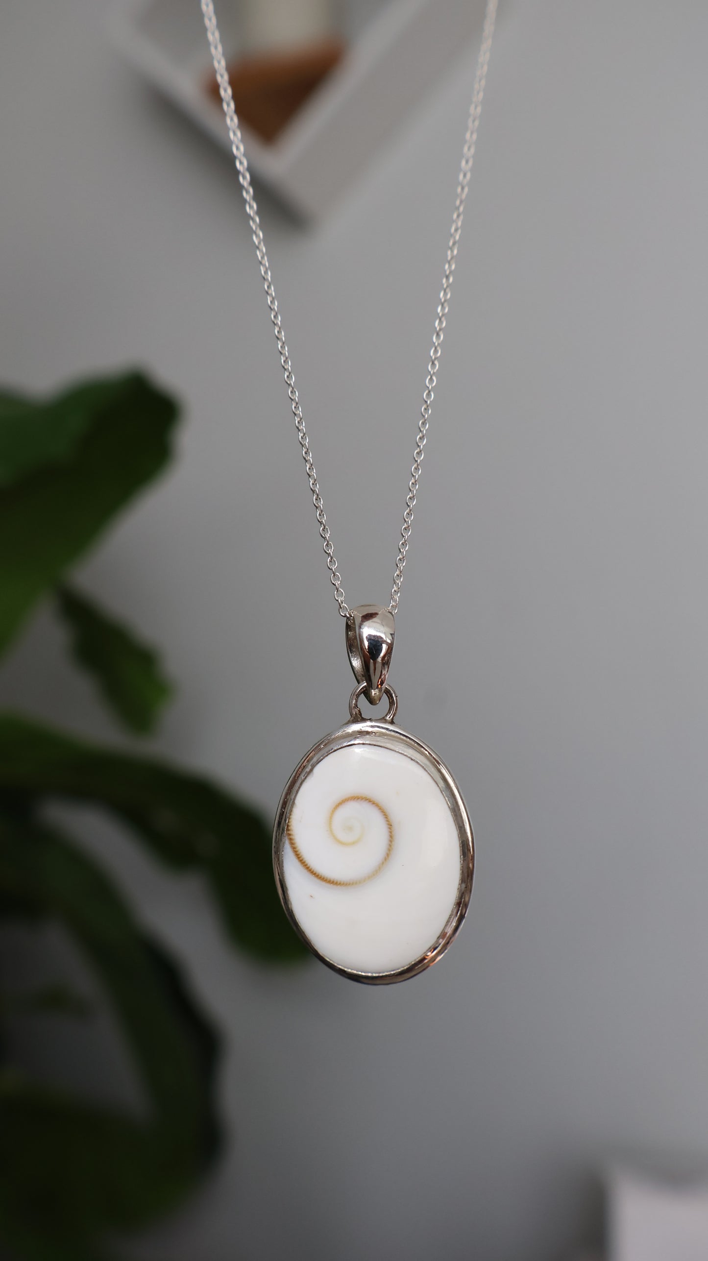 Operculum Pendant