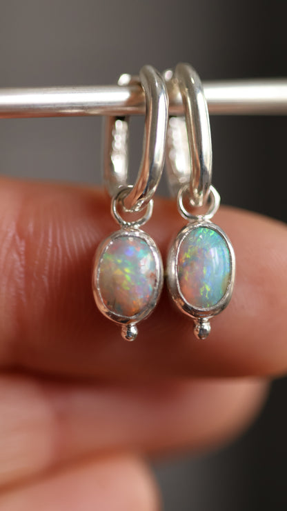 Boulder Opal Hoops
