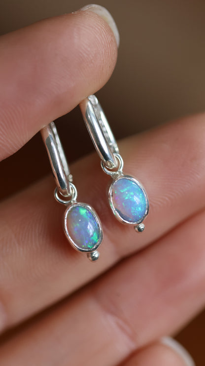 Boulder Opal  Hoops