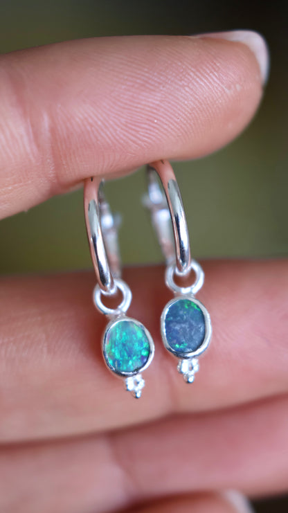 Lightning Ridge Solid Opal Mini Hoops
