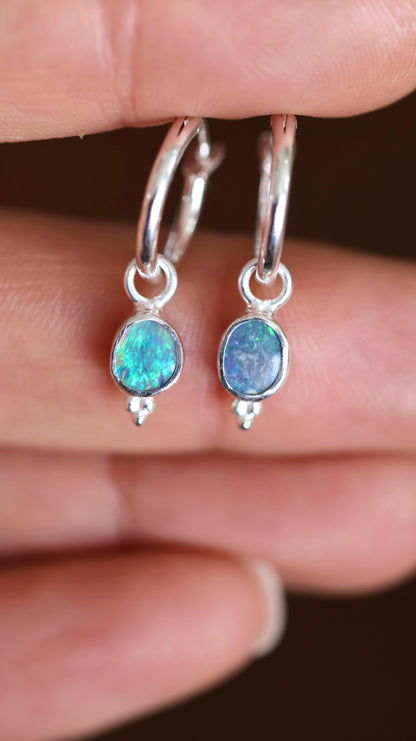 Lightning Ridge Solid Opal Mini Hoops