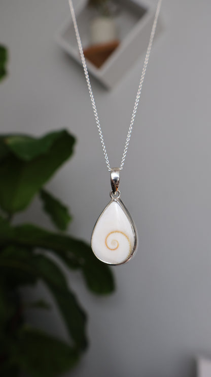 Teardrop Operculum Pendant