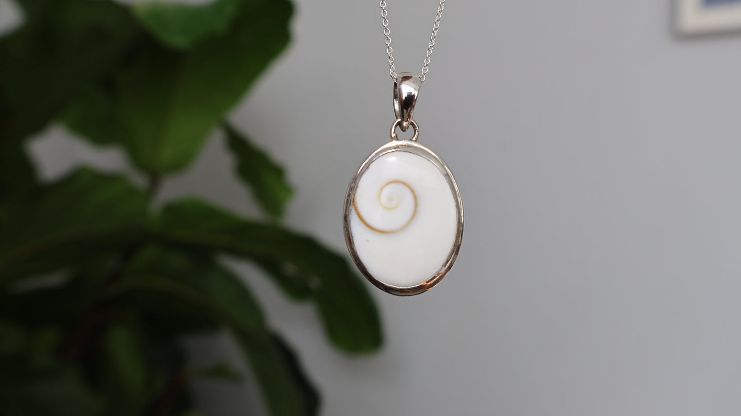 Operculum Pendant