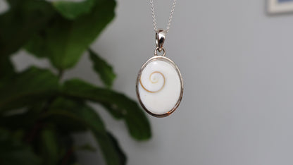 Operculum Pendant